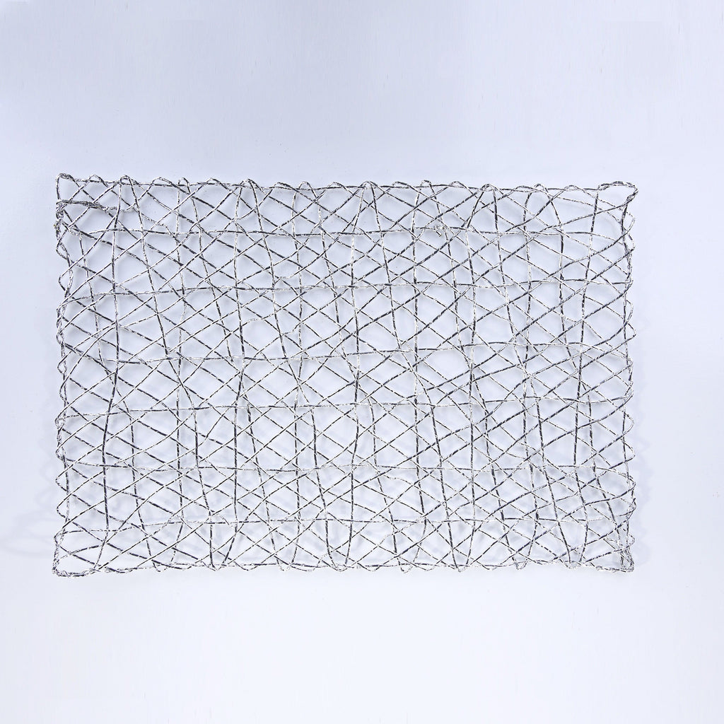 Plastic Silver Raper Table Place-mats (set of 2)