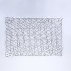 Plastic Silver Raper Table Place-mats (set of 2)