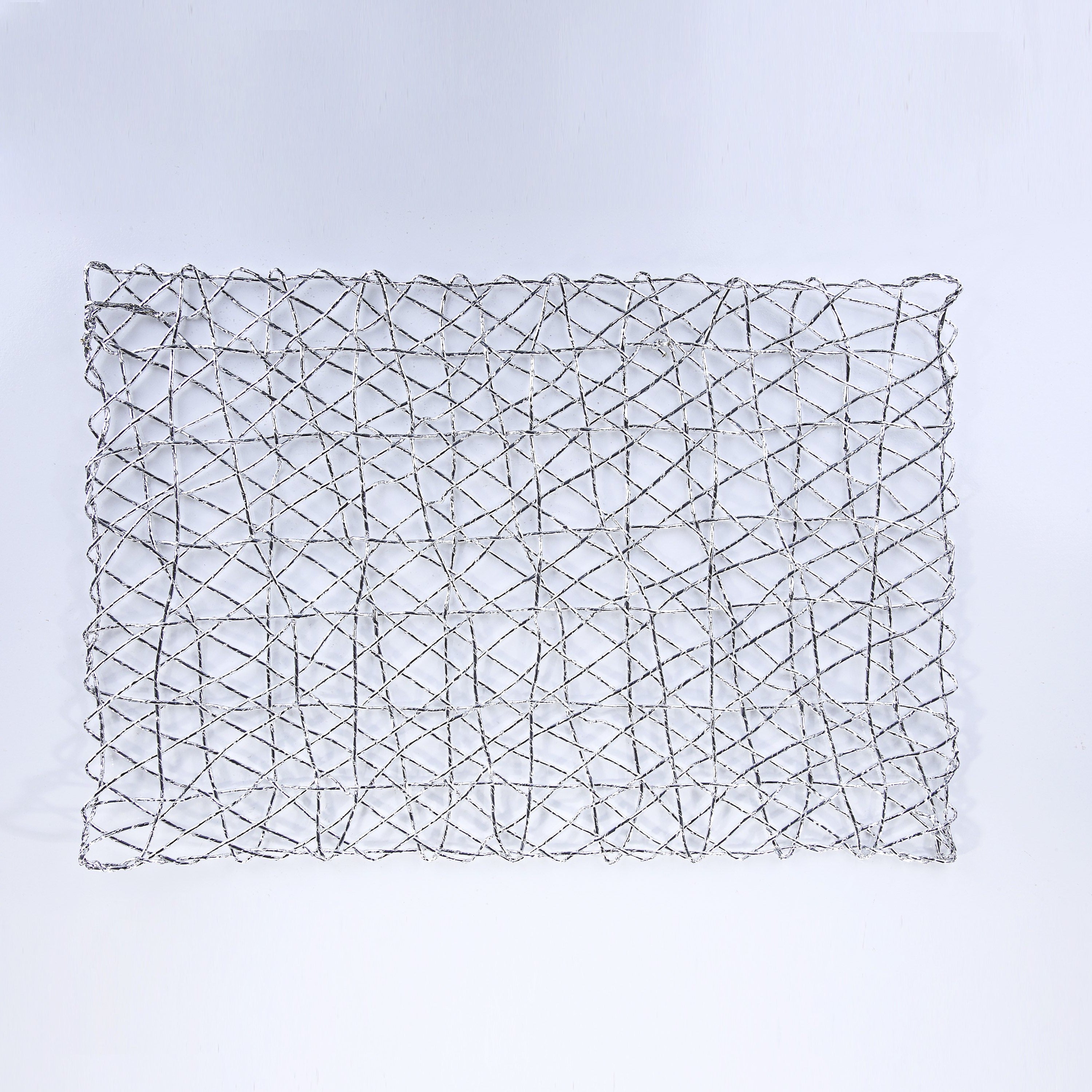 Plastic Silver Raper Table Place-mats (set of 2)