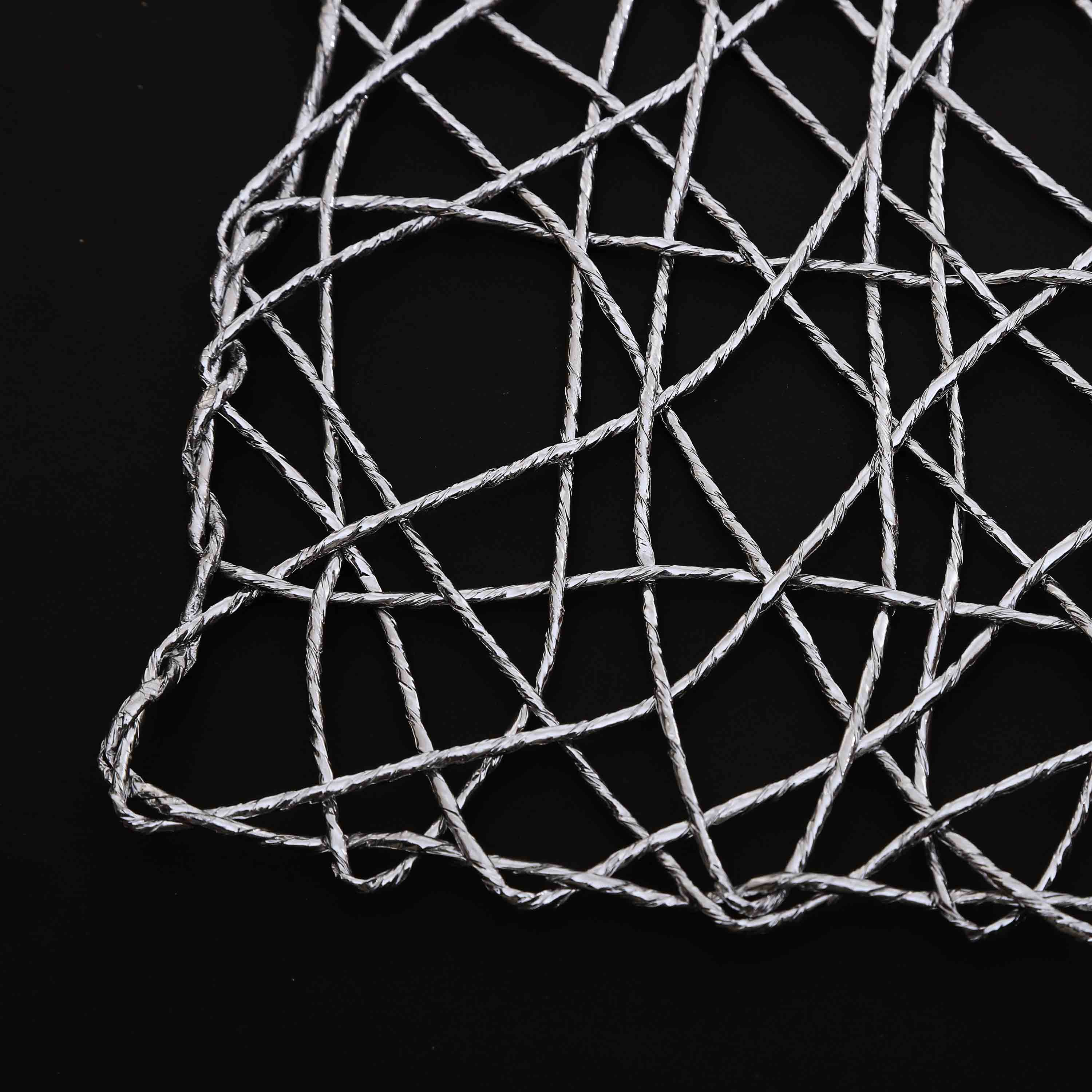 Plastic Silver Raper Table Place-mats (set of 2)