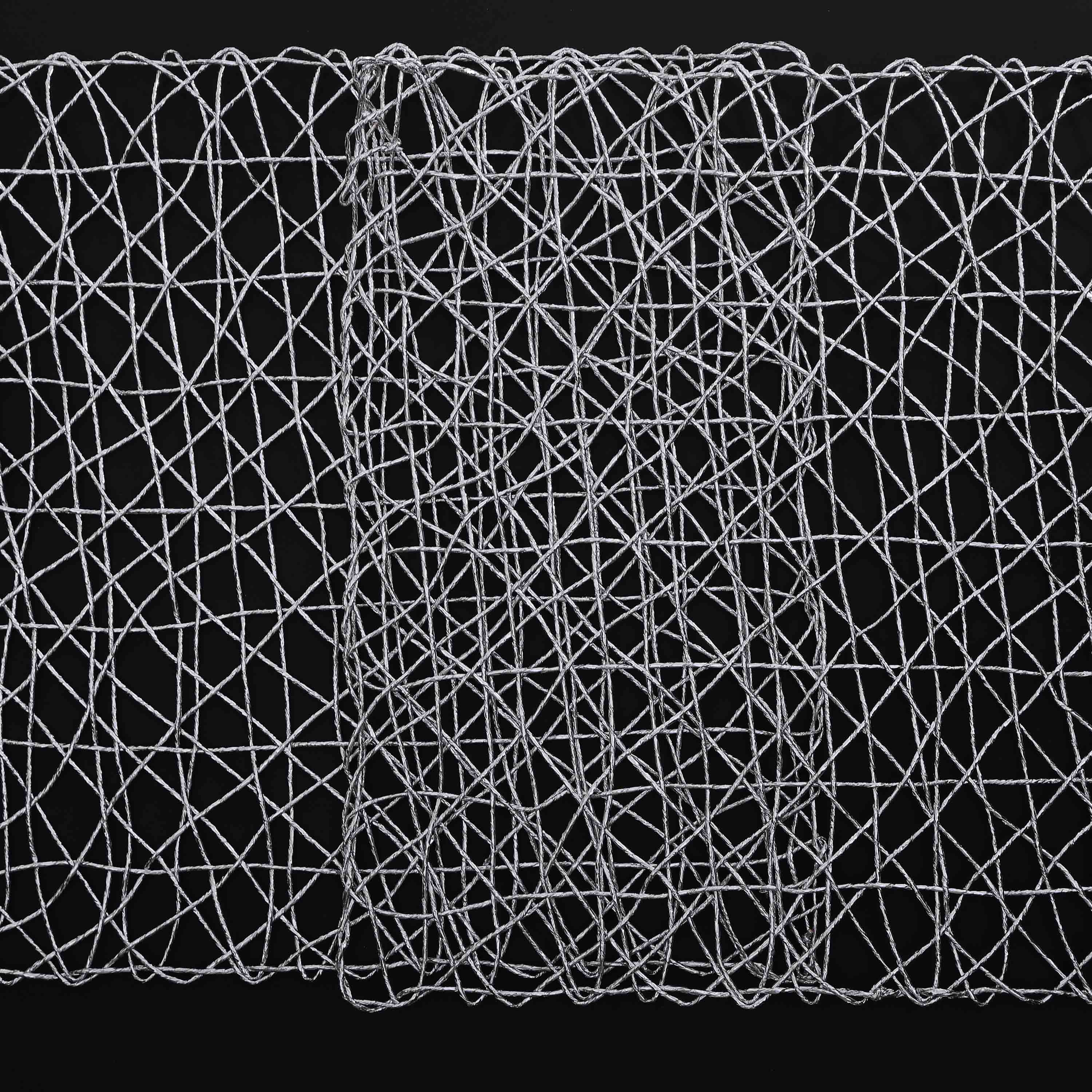 Plastic Silver Raper Table Place-mats (set of 2)