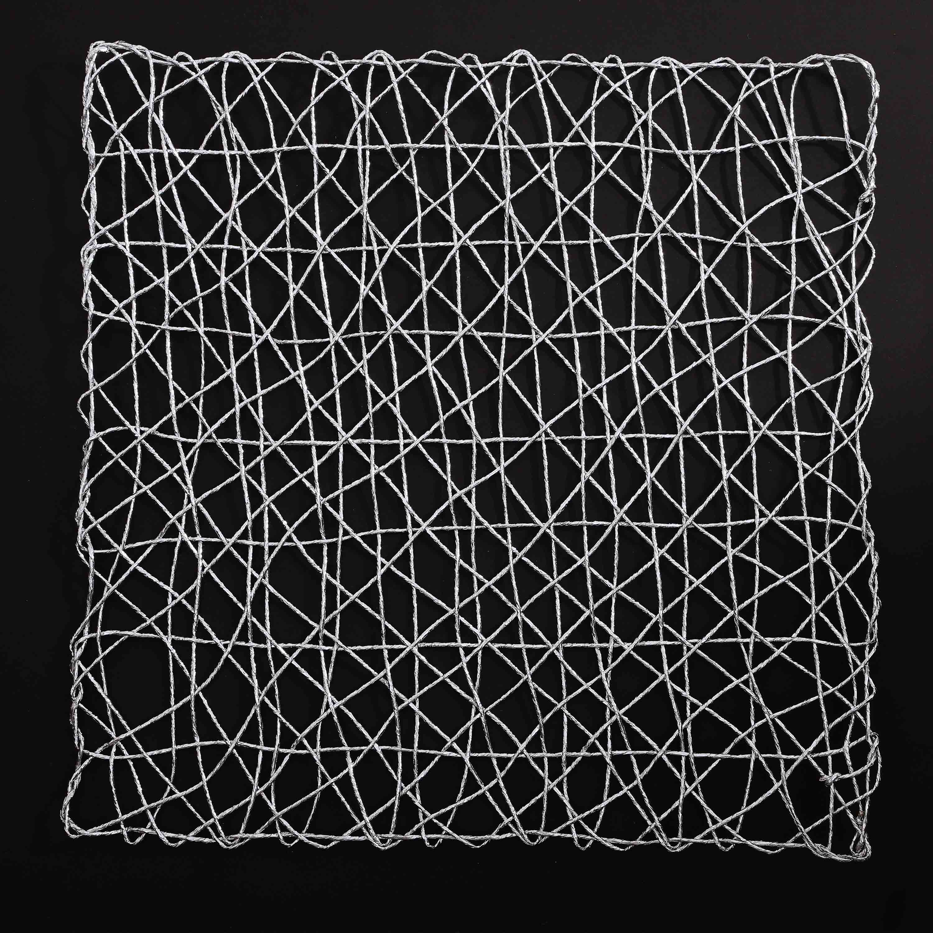 Plastic Silver Raper Table Place-mats (set of 2)