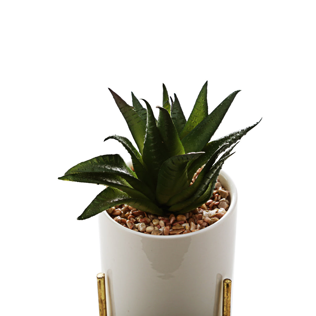 Pot Planter with Golden Stand