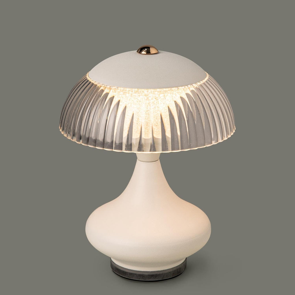 Ahshenya LED Table Lamp
