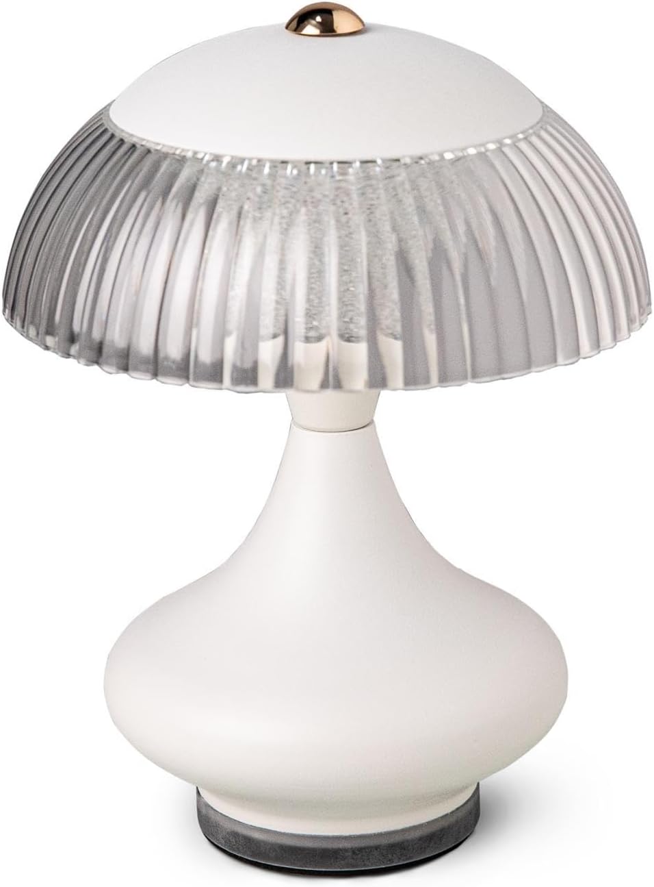 Ahshenya LED Table Lamp