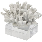 Faux Coral II