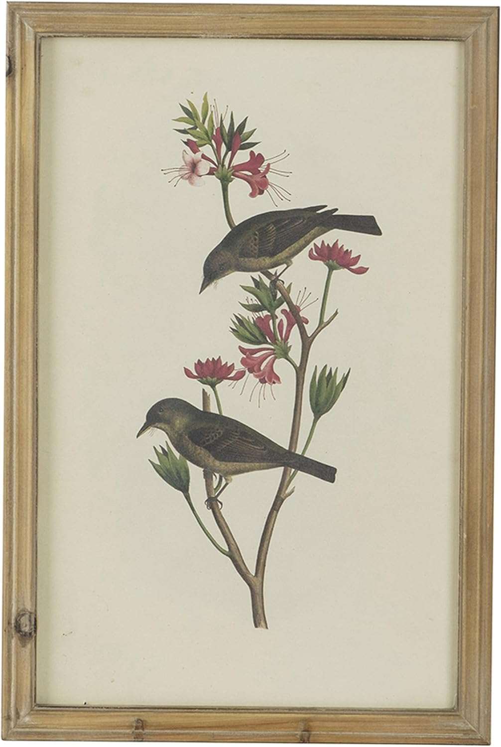Bird Framed Wall Art