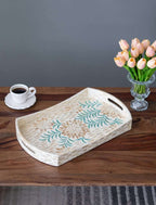 Creative Curved Shell Tray