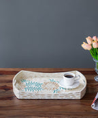 Creative Curved Shell Tray