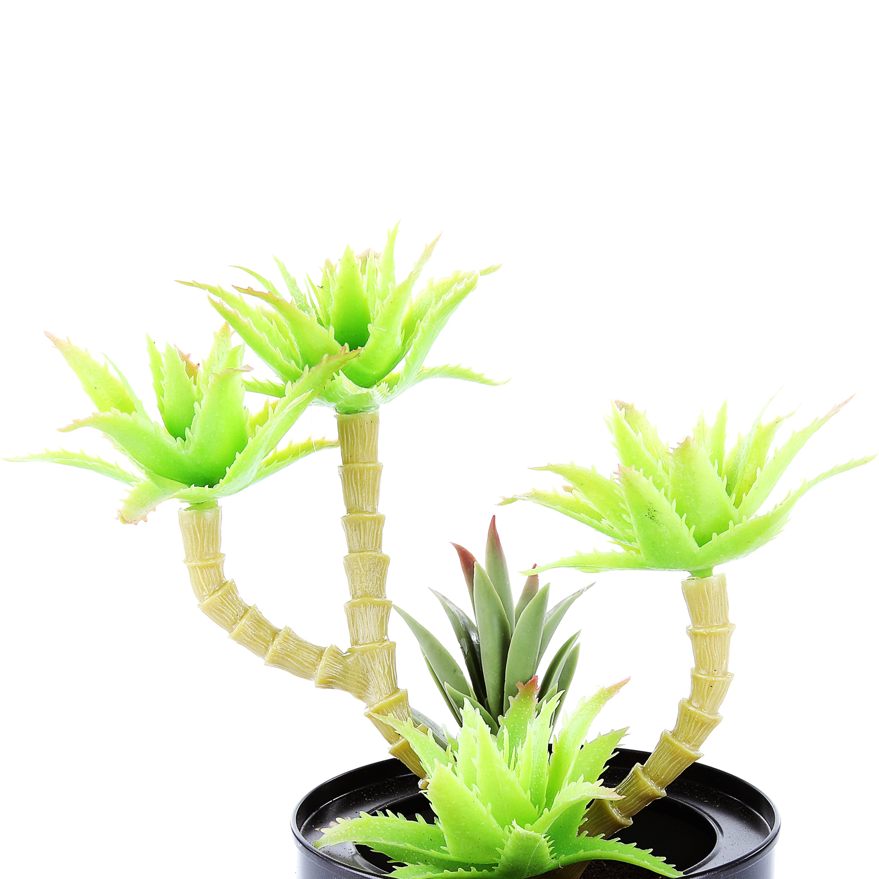 Black Steel Pot & Planter (Lite Green)