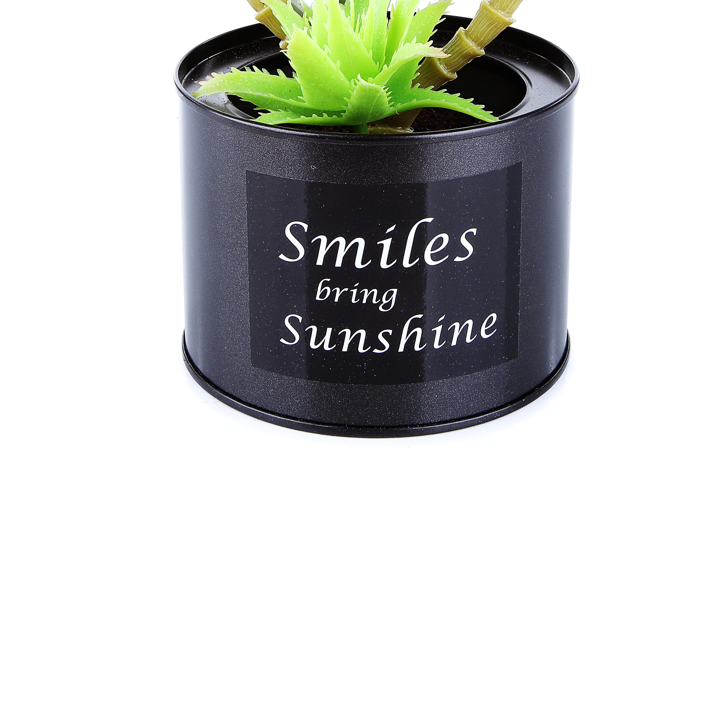 Black Steel Pot & Planter (Lite Green)
