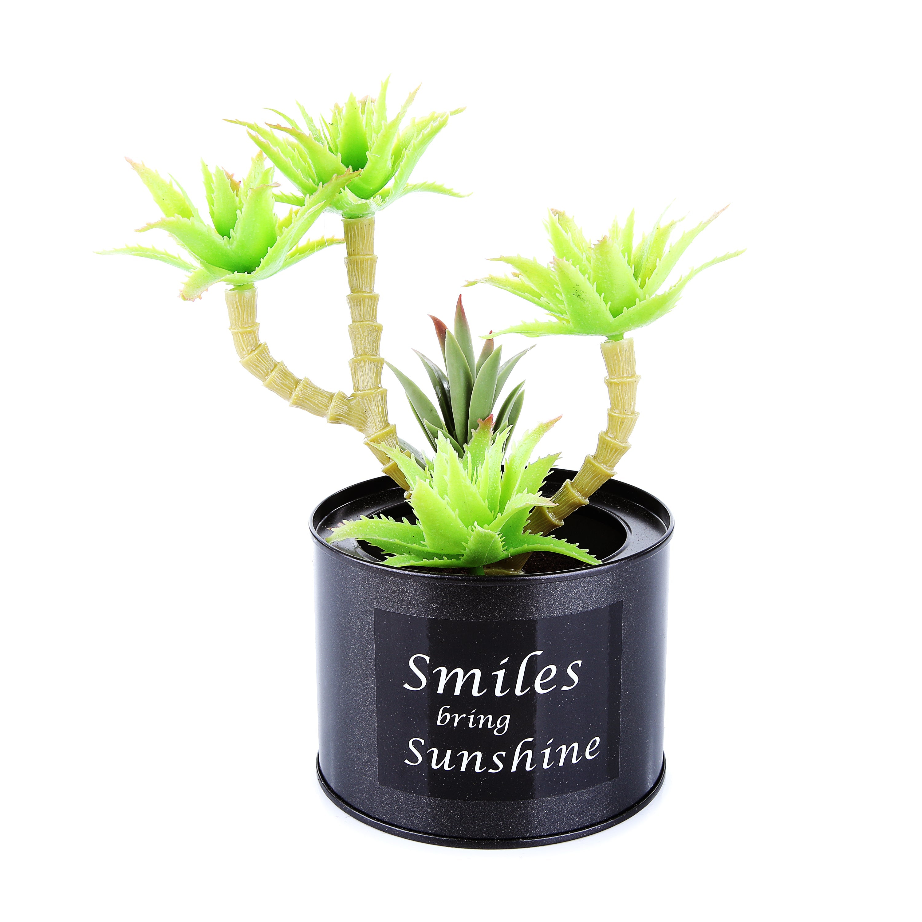 Black Steel Pot & Planter (Lite Green)