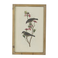 Bird Framed Wall Art