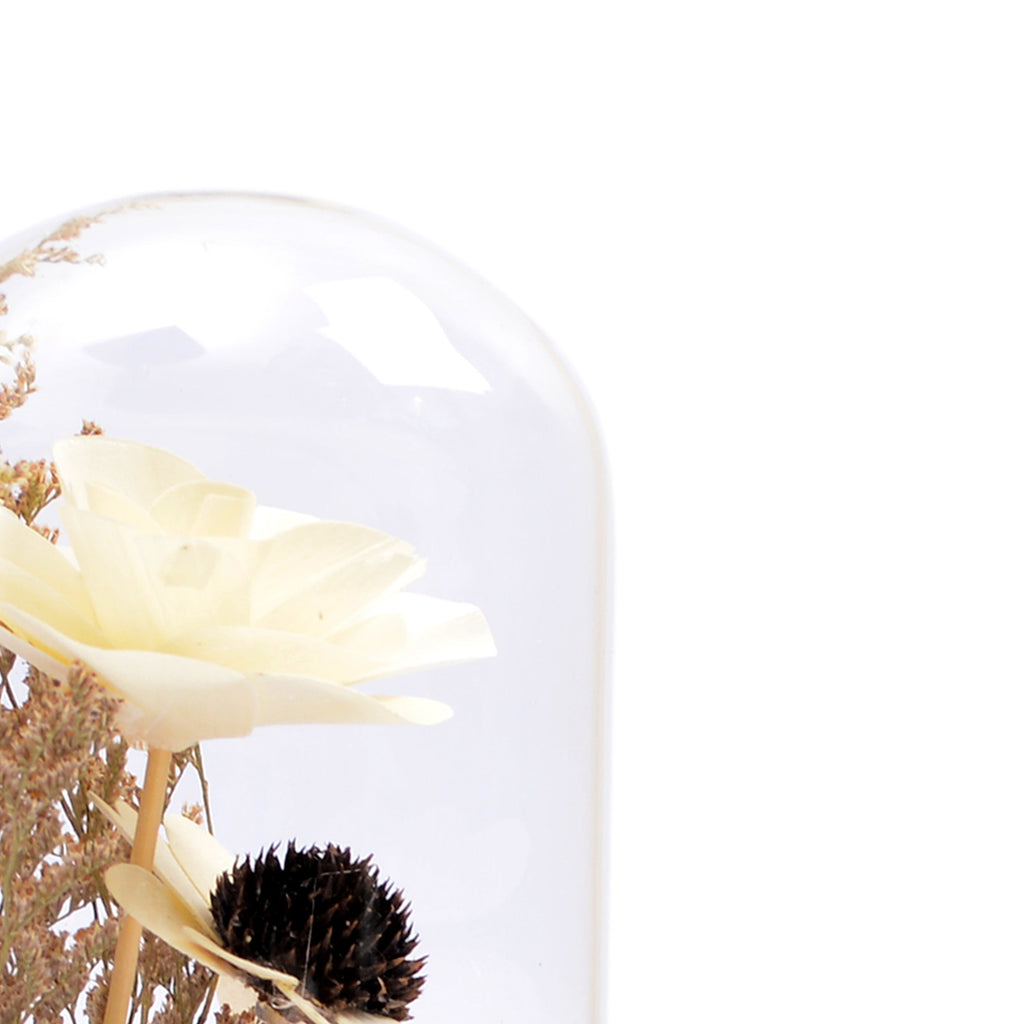Modern Glass Dome Planter (Off White)