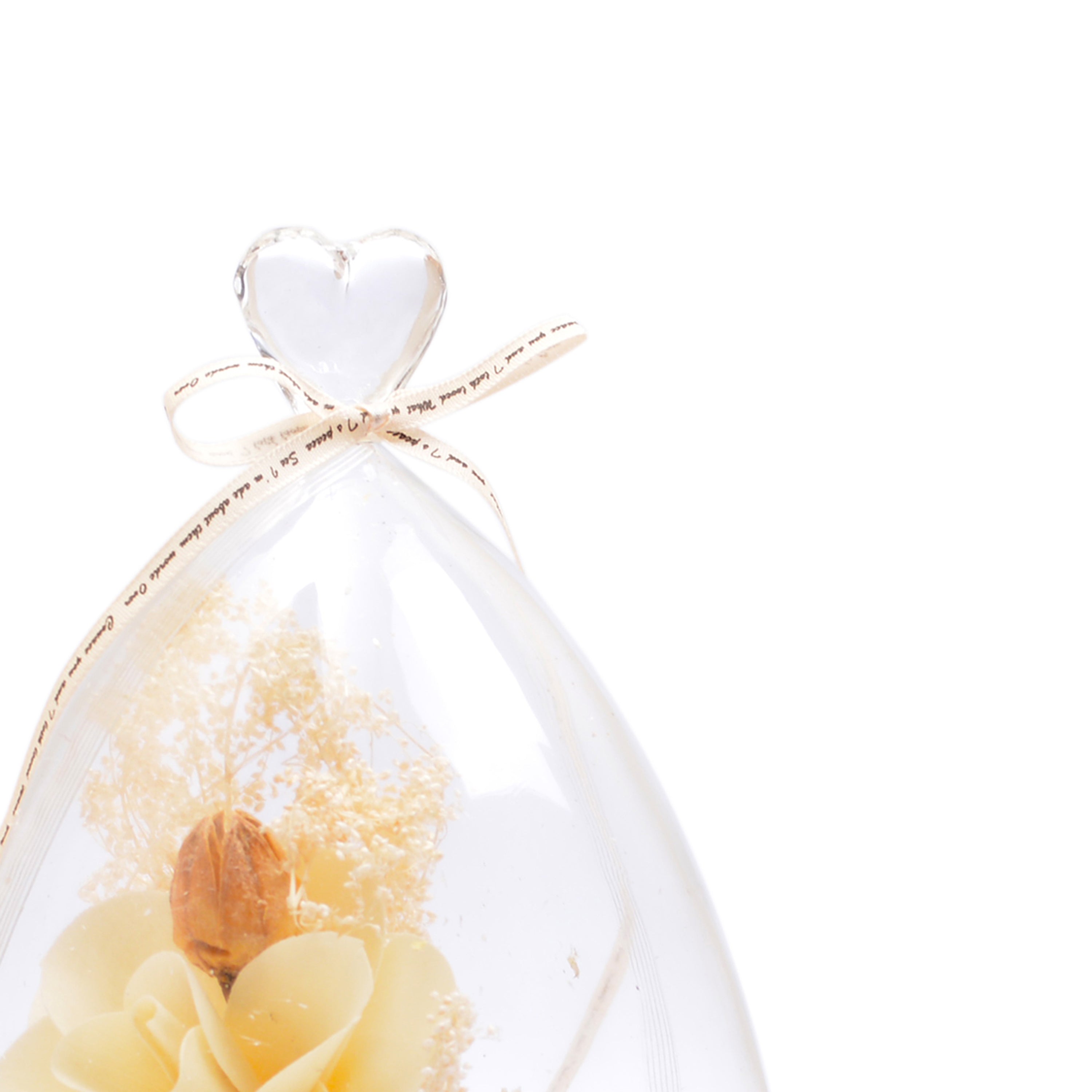 Big Modern Glass Dome Planter (Off White)