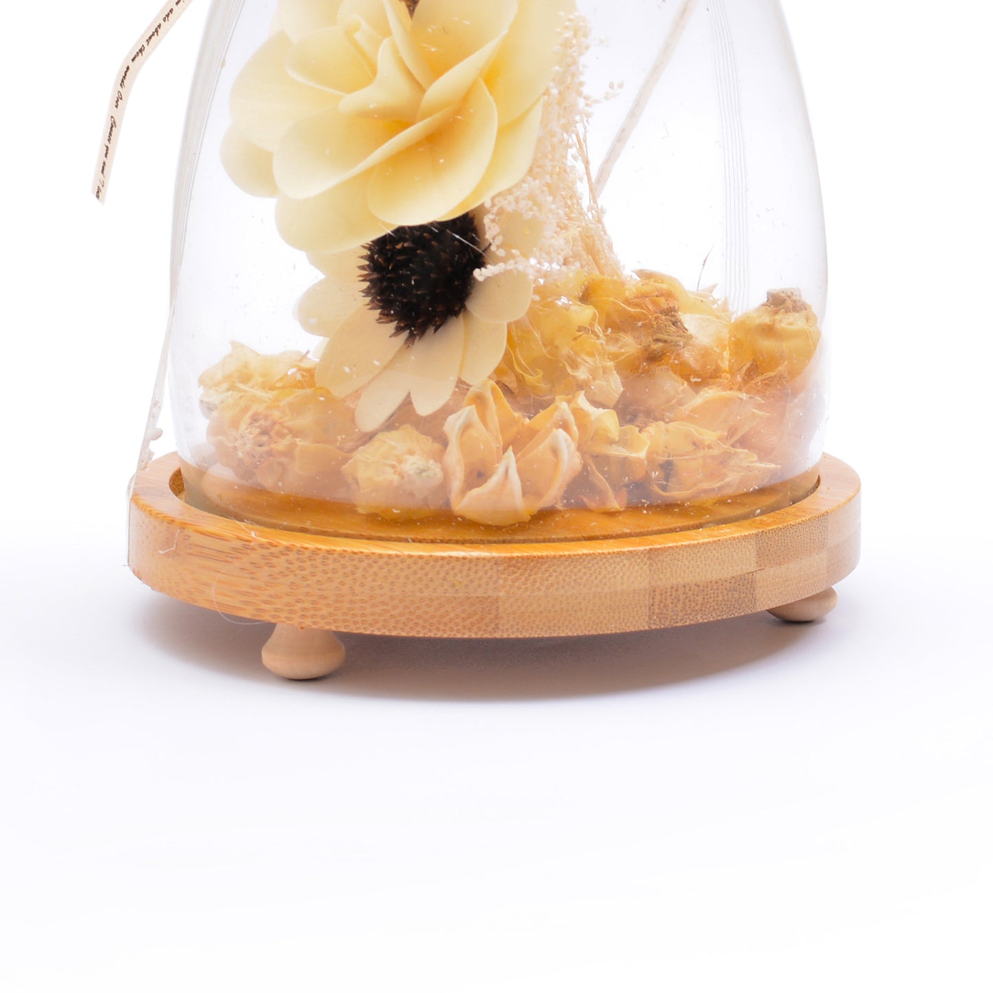 Big Modern Glass Dome Planter (Off White)