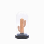 Artificial Cactus Glass Dome Planter (Golden)