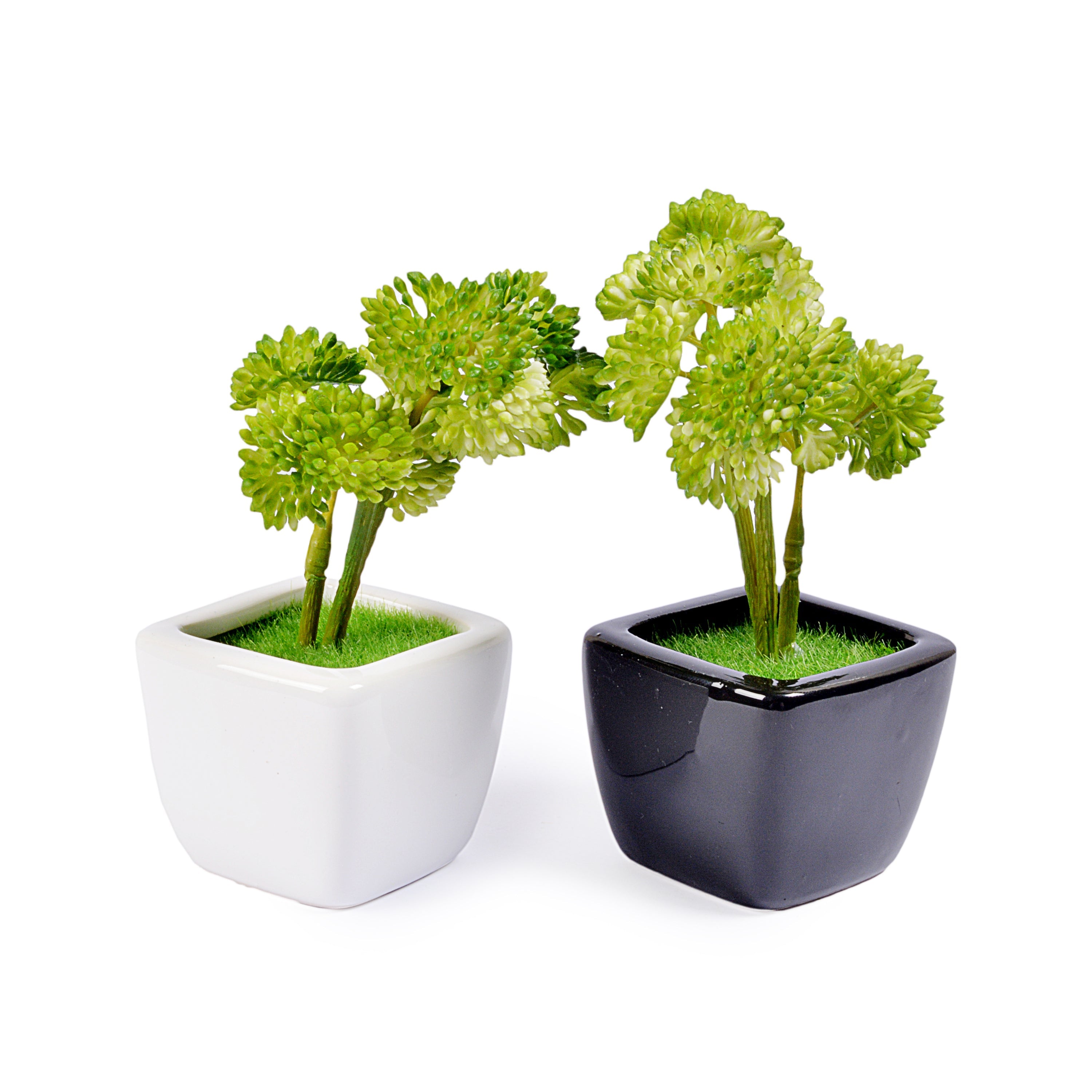 Small Ceramic Decorative Planter (set of 2)