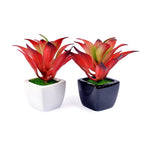 Small Ceramic Decorative Planter (set of 2)