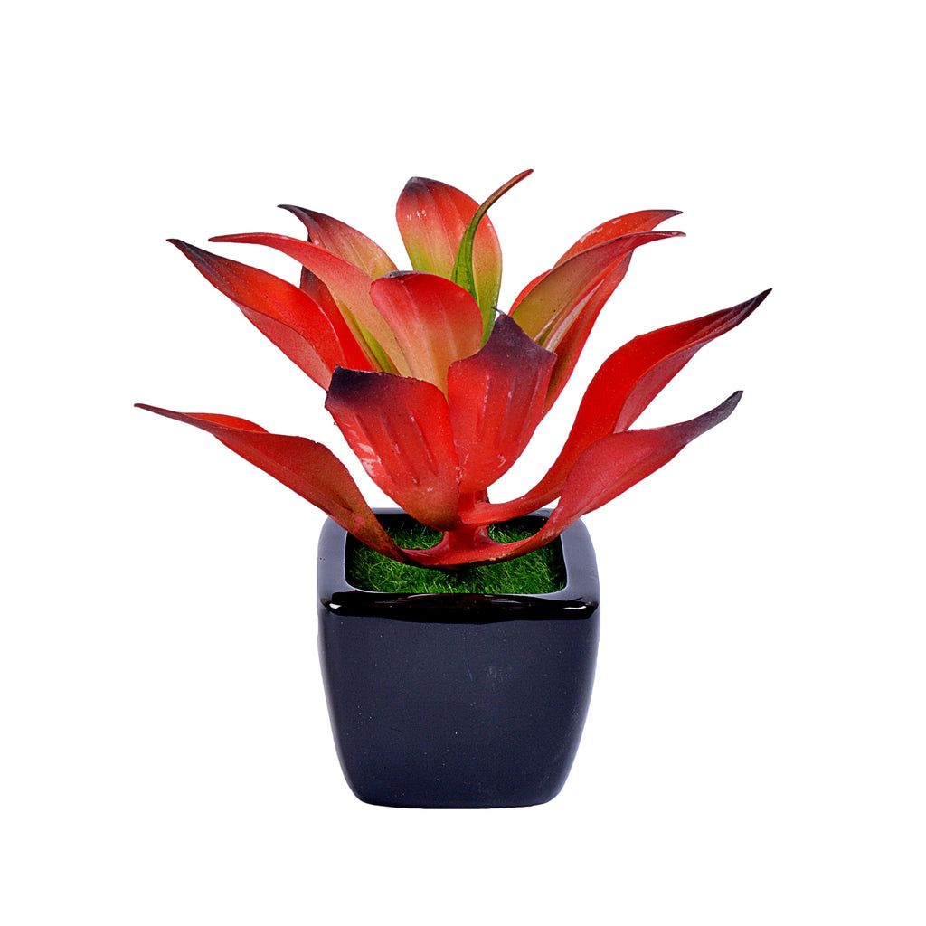 Small Ceramic Decorative Planter (set of 2)