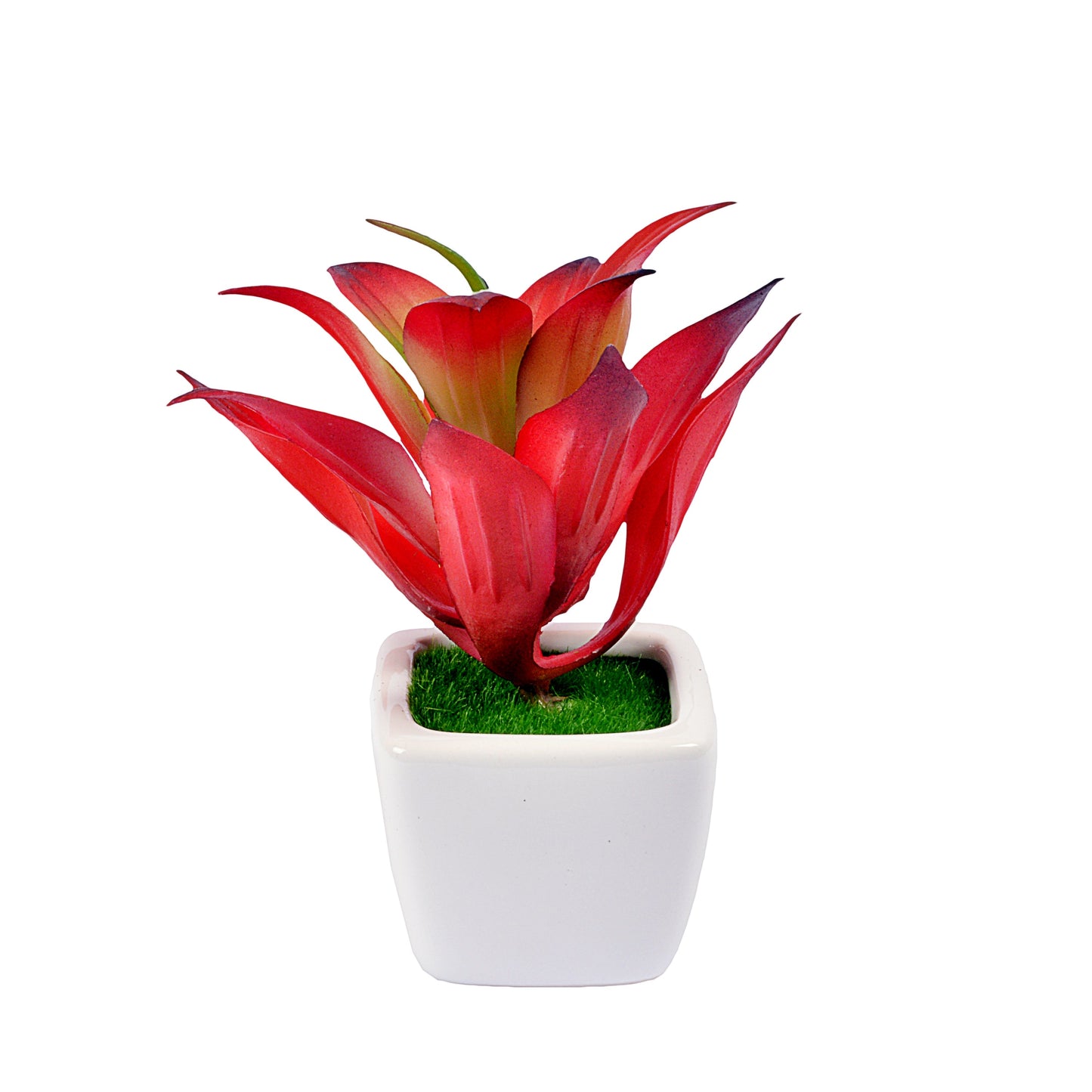 Small Ceramic Decorative Planter (set of 2)