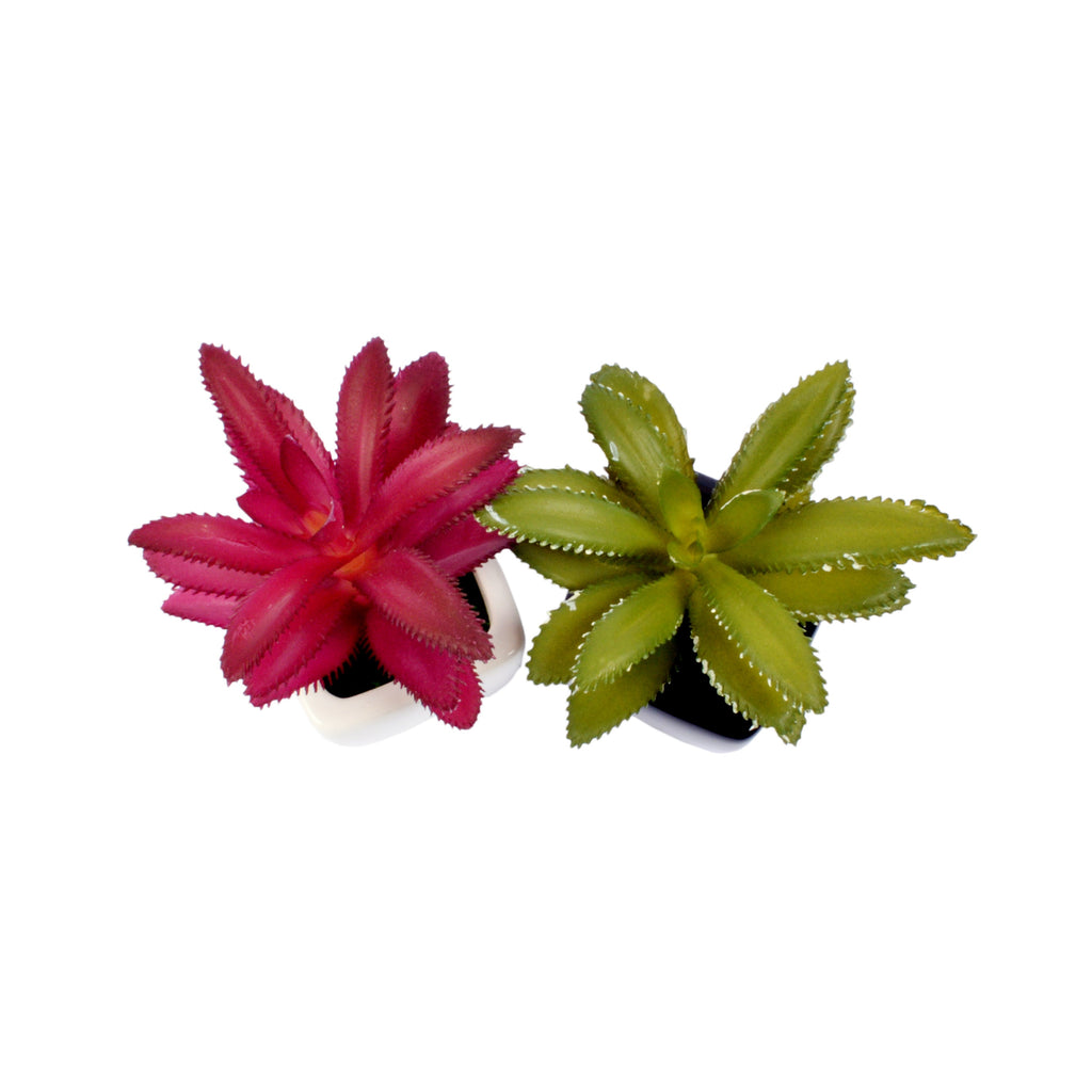 Small Ceramic Decorative Planter (set of 2)