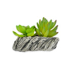 Decorative Pot planter with Ceramic Finish
