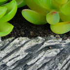 Decorative Pot planter with Ceramic Finish