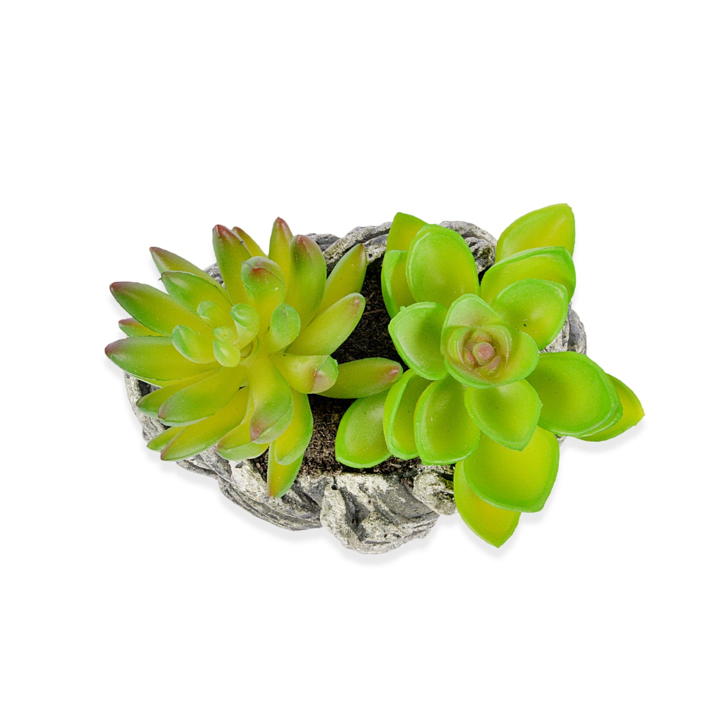 Decorative Pot planter with Ceramic Finish