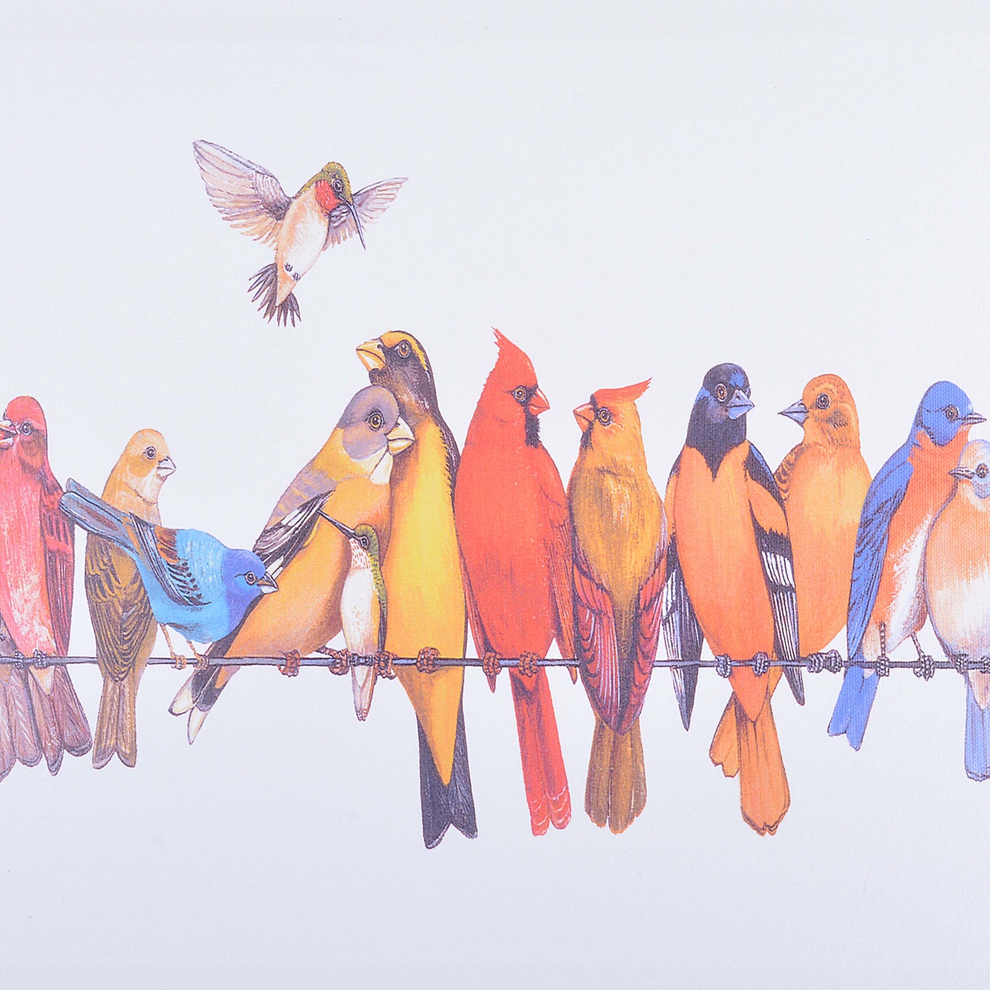 Decorative Colorful Birds Scenery
