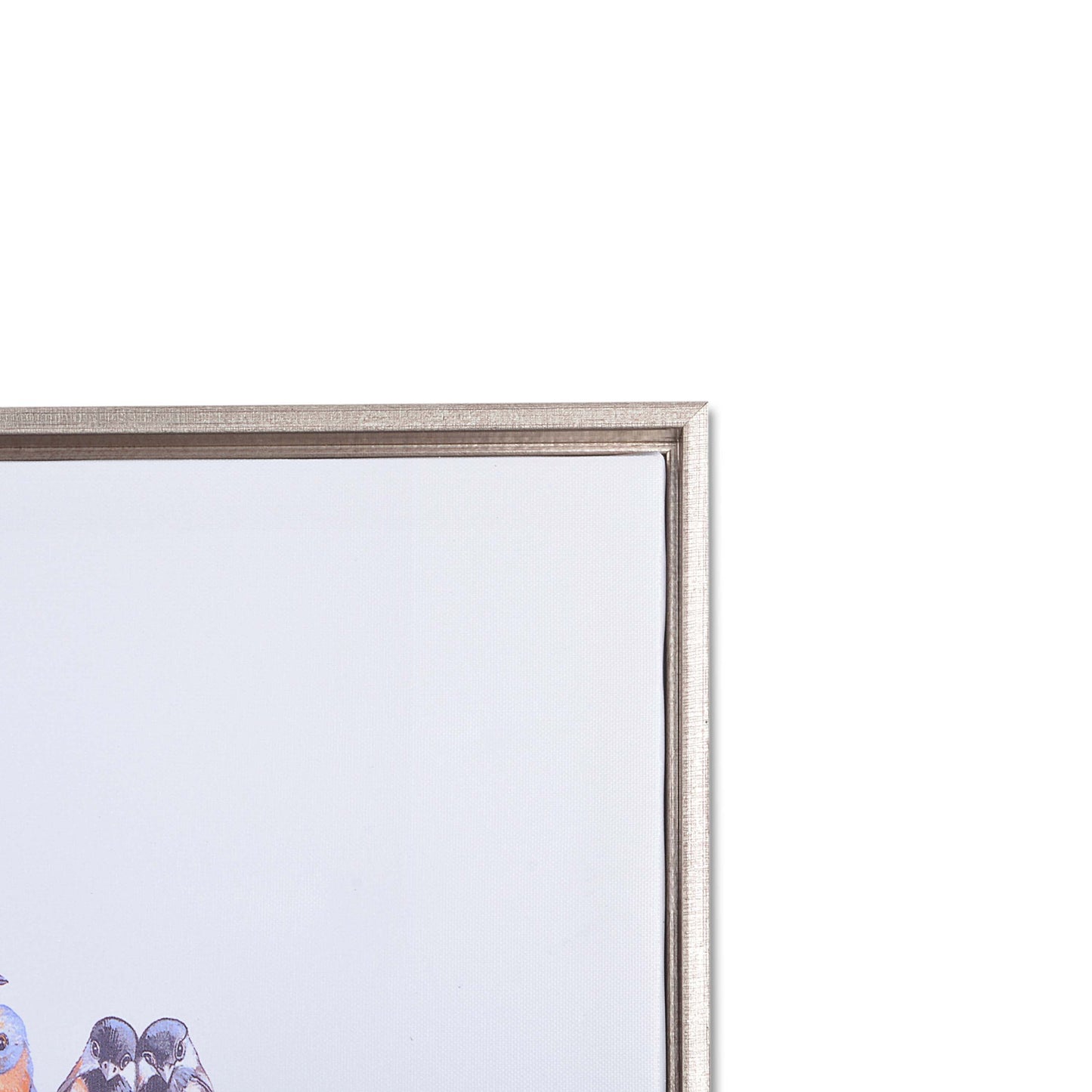 Decorative Colorful Birds Scenery