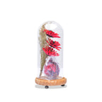 Modern Glass Dome Planter (Red)