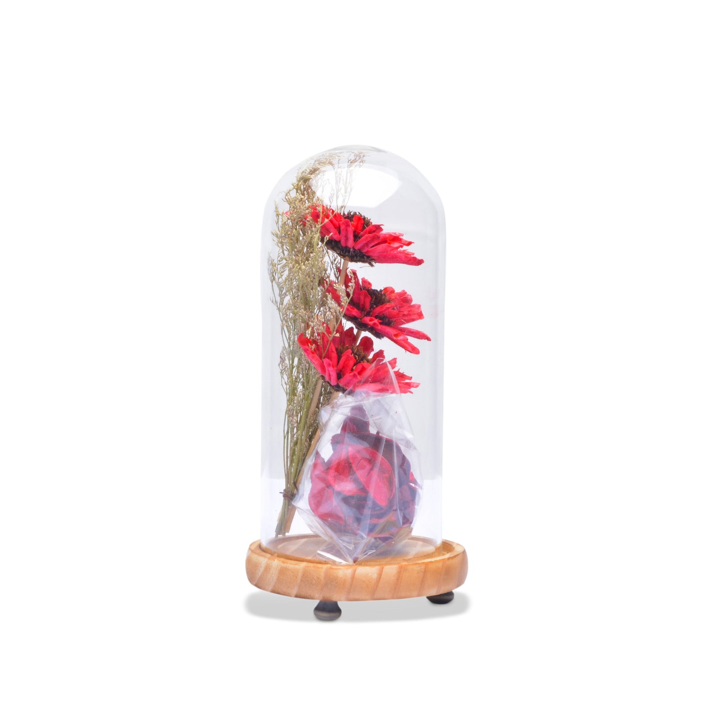 Modern Glass Dome Planter (Red)