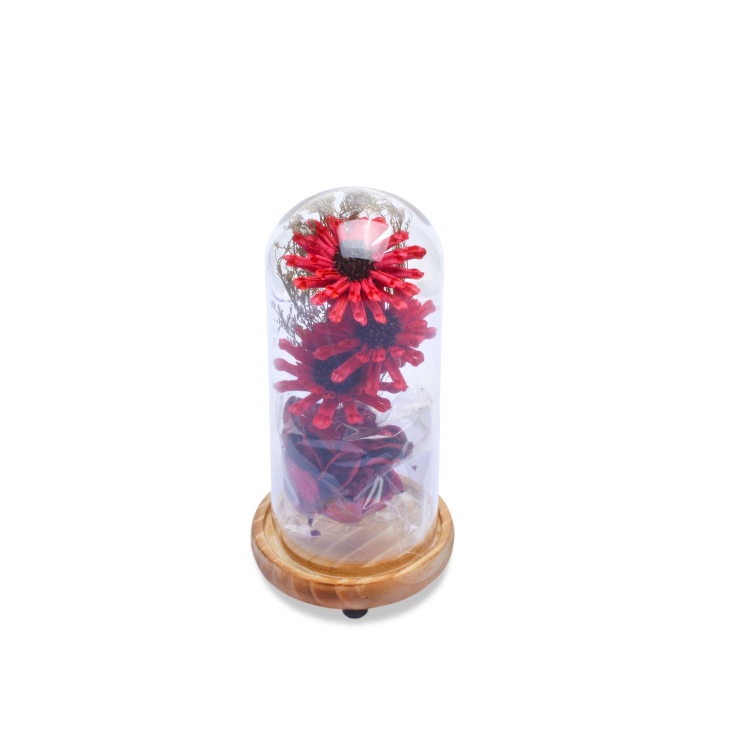 Modern Glass Dome Planter (Red)
