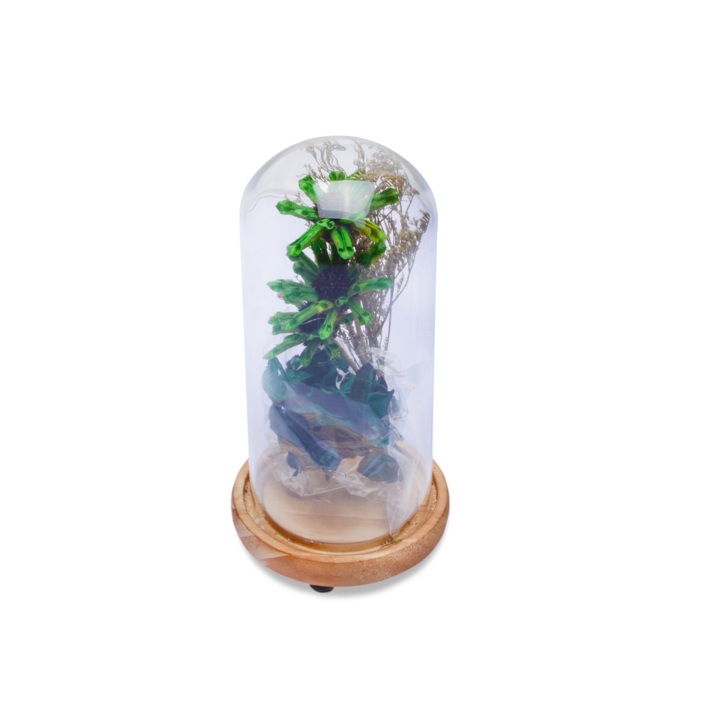 Modern Glass Dome Planter (Green)