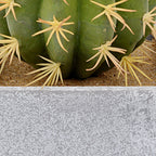 Modern Globe Style Square Planter