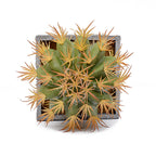 Modern Globe Style Square Planter