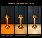 Dome Portable LED Table Lamp