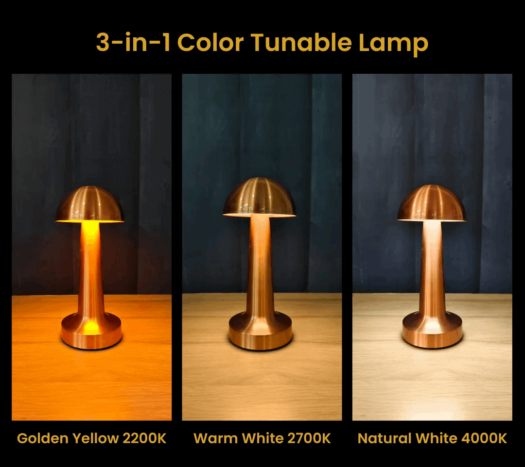 Dome Portable LED Table Lamp