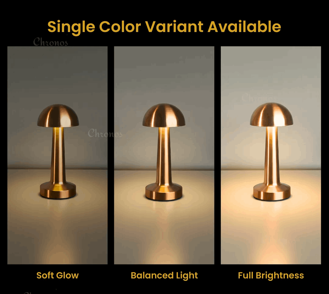 Dome Portable LED Table Lamp