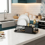 Compact Dish Rack with Handles