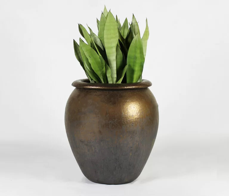 The Glazed (Set Of 3)