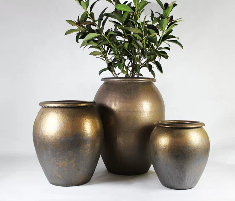 The Glazed (Set Of 3)