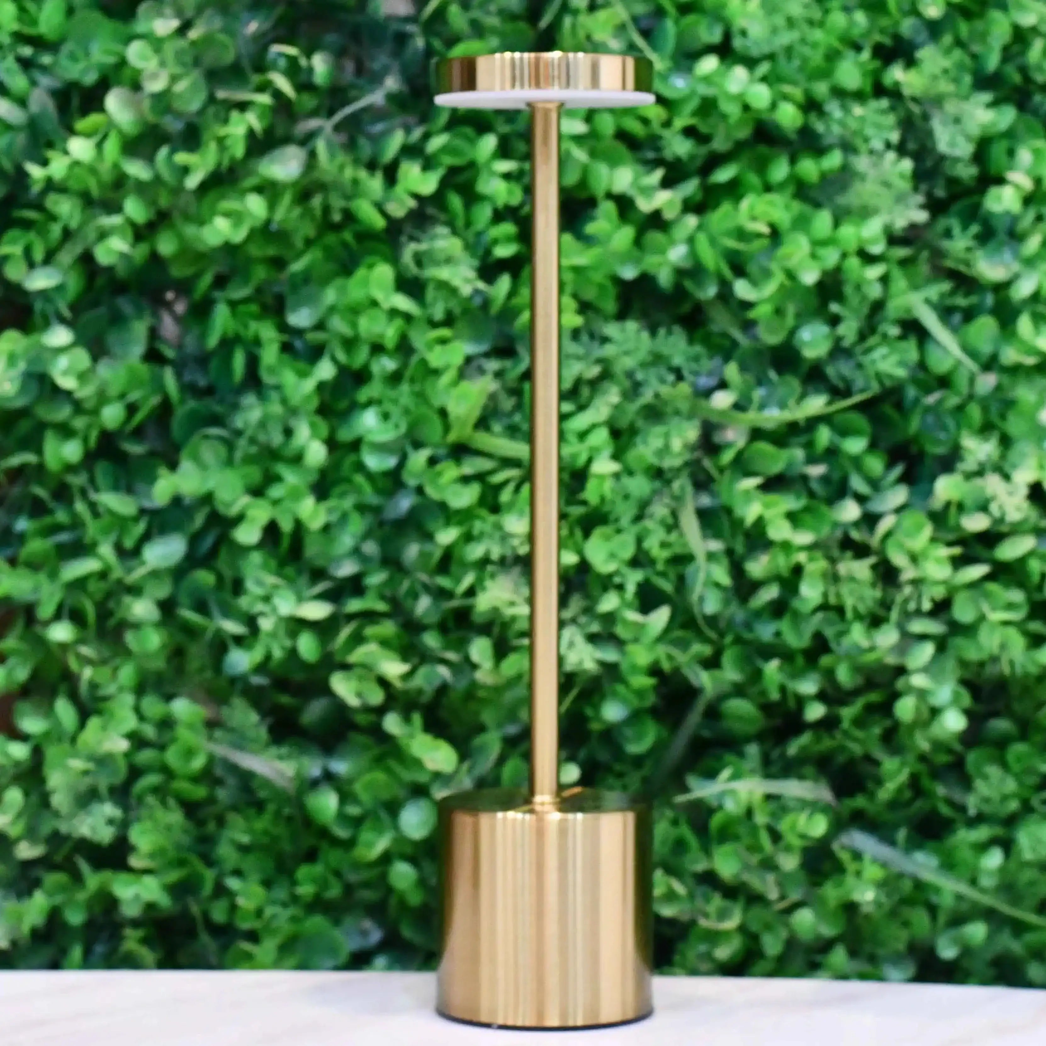 Long Neck LED Table Lamp
