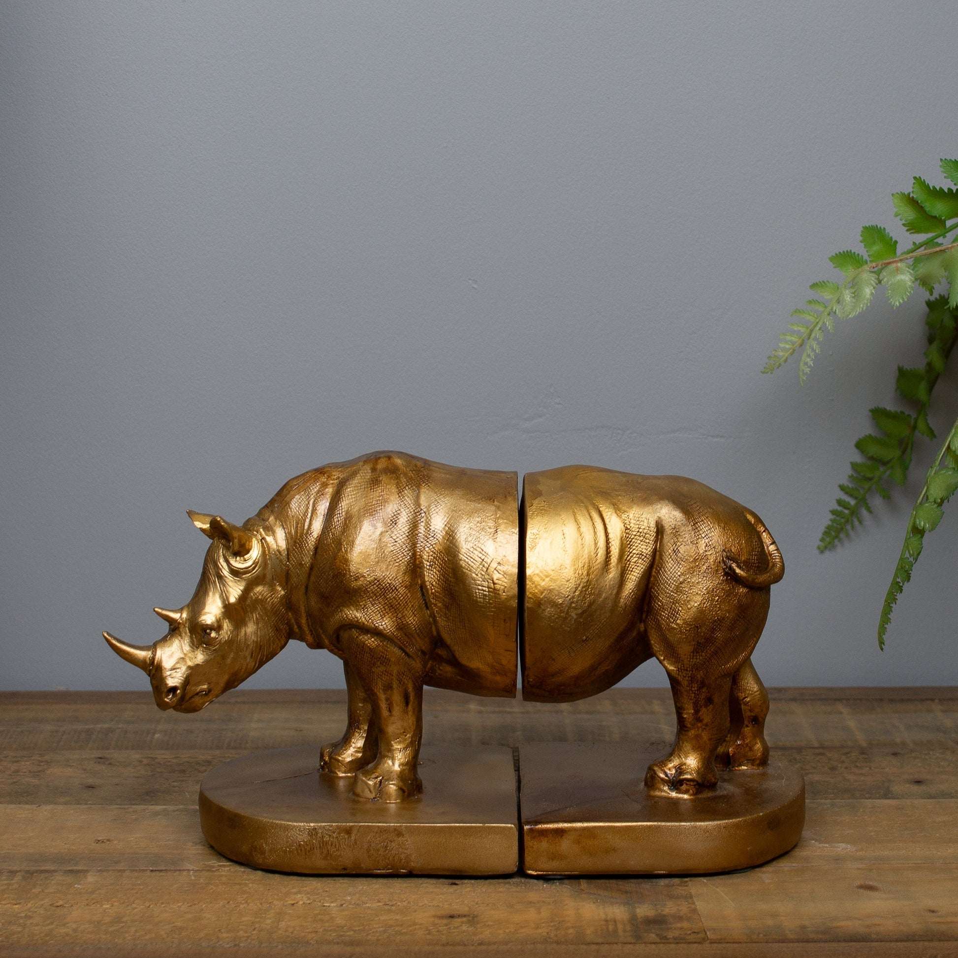 Rhinoceros Bookends