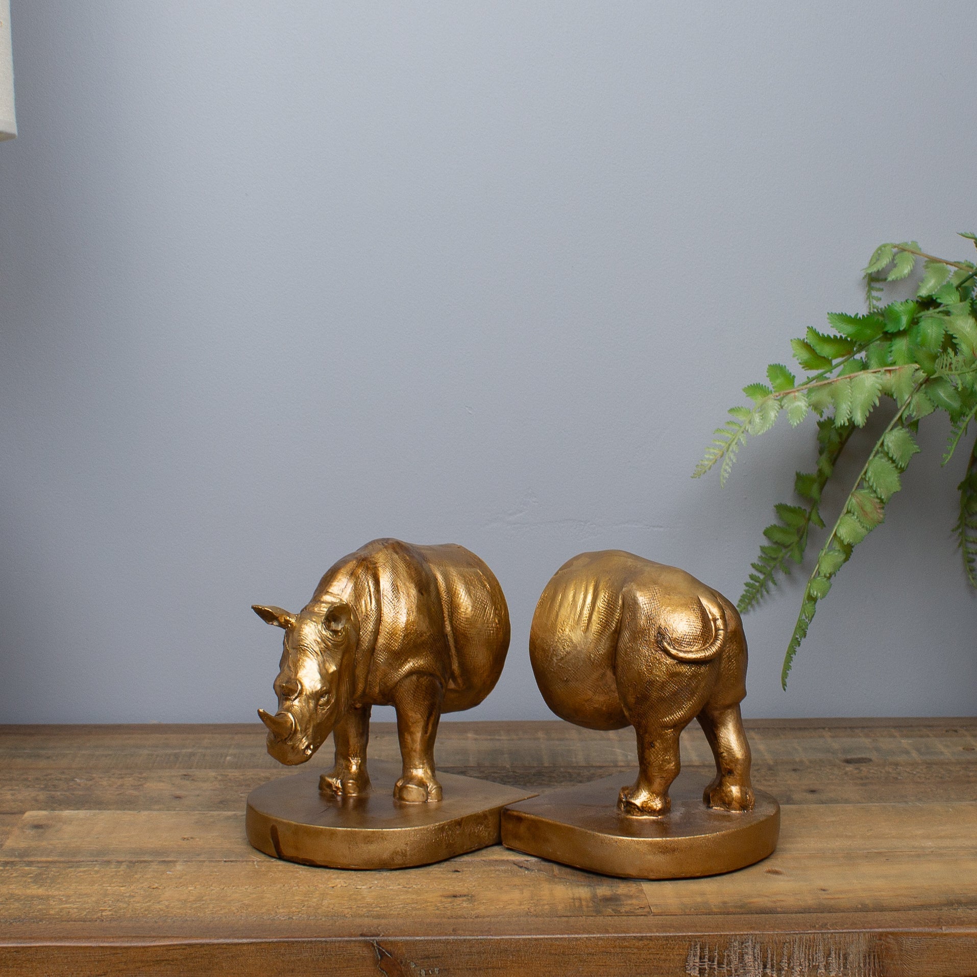 Rhinoceros Bookends