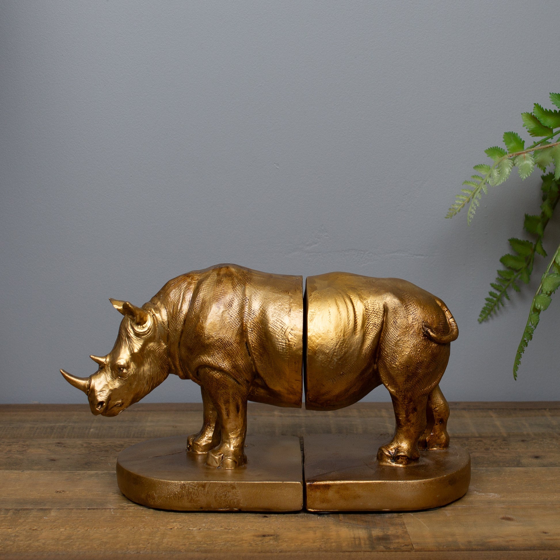Rhinoceros Bookends