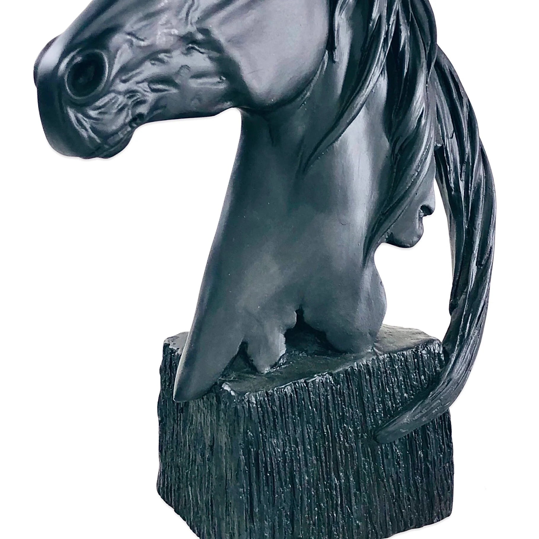 Discerning Horse Lamp (Black)