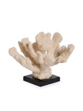 Faux Coral
