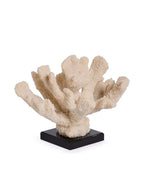Faux Coral